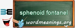 WordMeaning blackboard for sphenoid fontanel